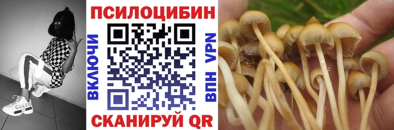 Псилоцибиновые грибы Magic Shrooms  Купить где  Муром 